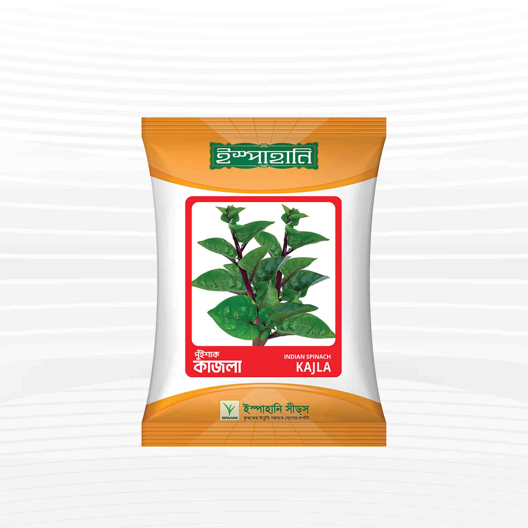 লাল পুঁই শাক বীজ (কাজলা) - ১০ গ্রাম (অক্ষত প্যাকেট)