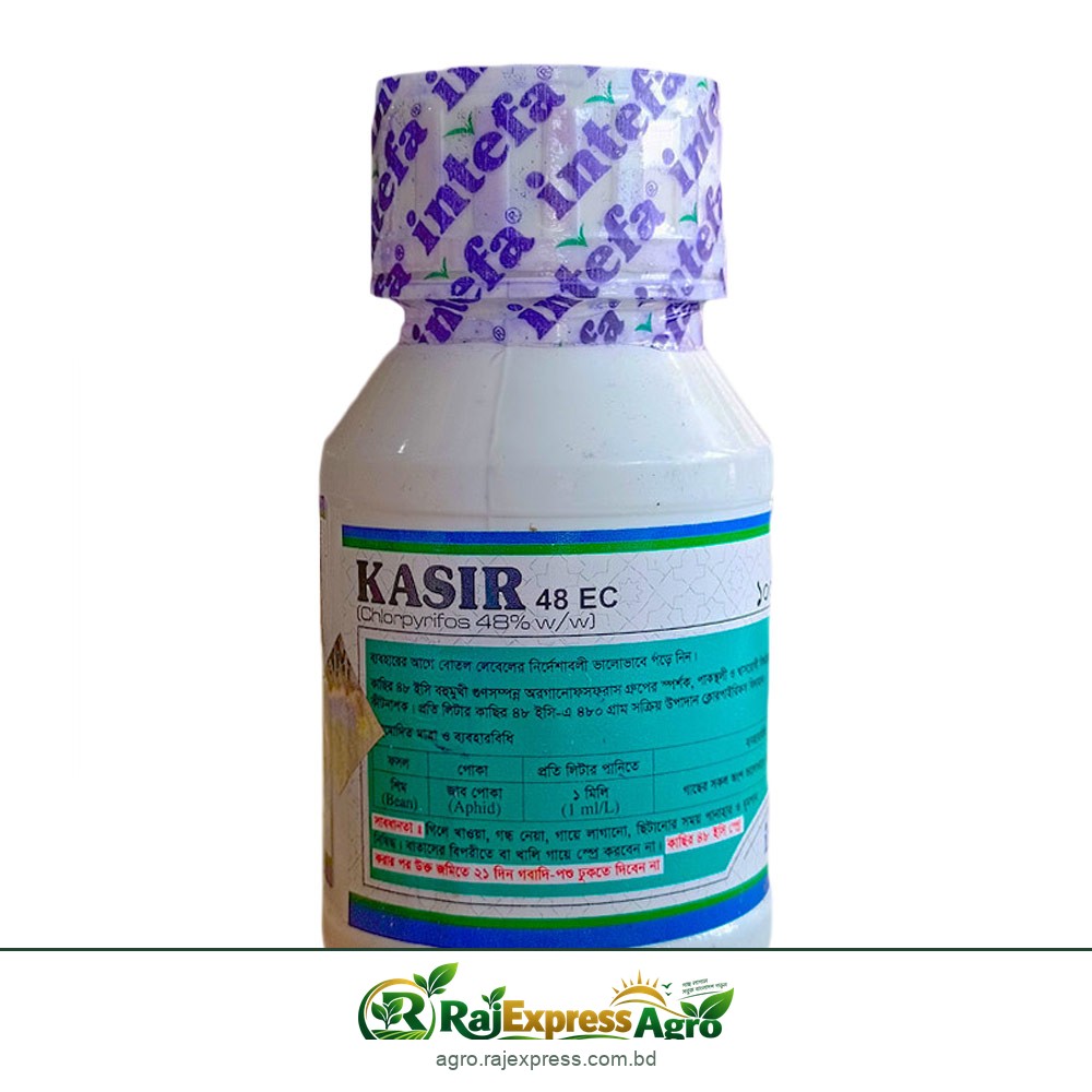কাছির ৪৮ ইসি কীটনাশক (ক্লোরপাইরিফস ৪৮%)
