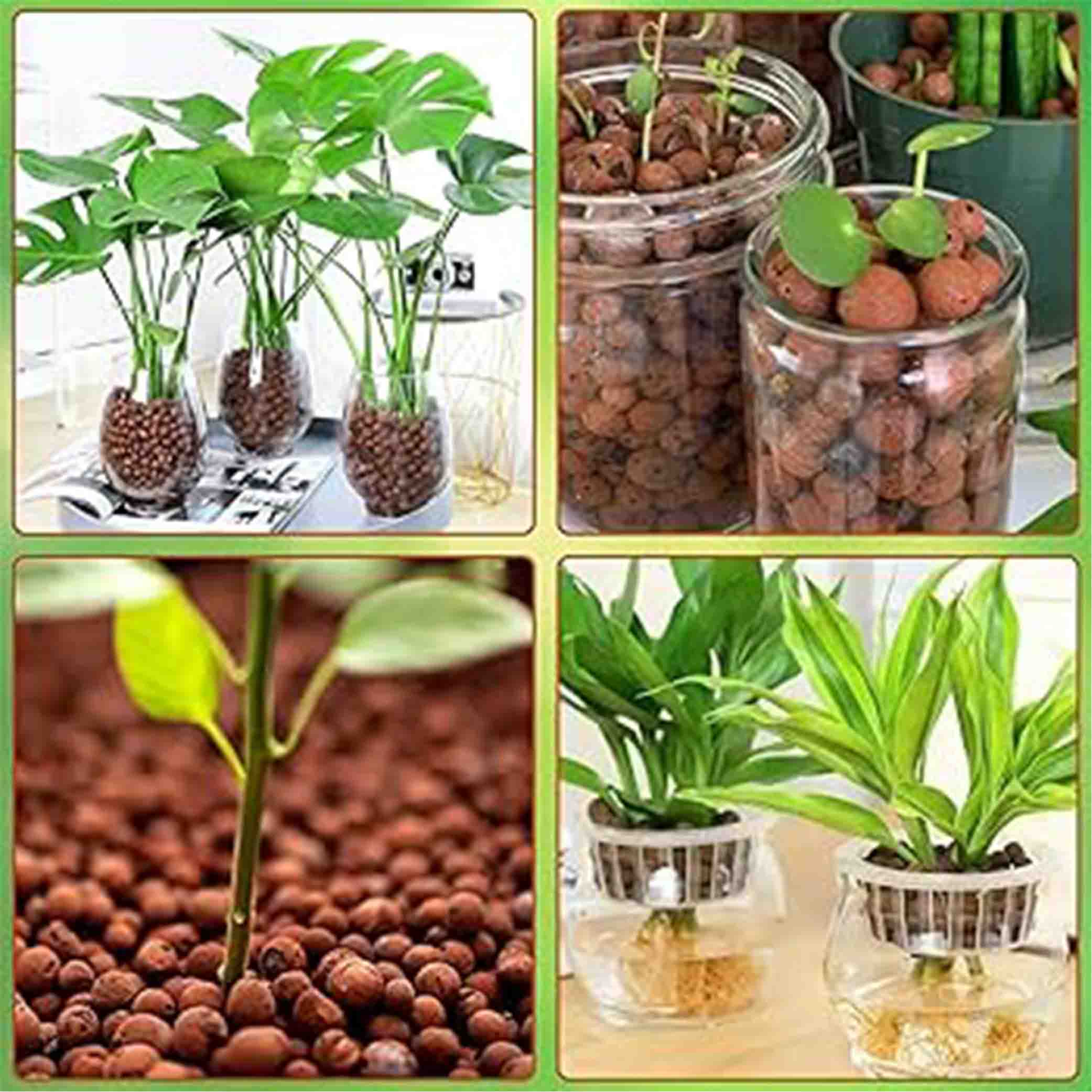 গাছের জন্য লেকা / ক্লে বল - ১২ লিটার (আনুমানিক ২.২ কেজি) অক্ষত প্যাকেট