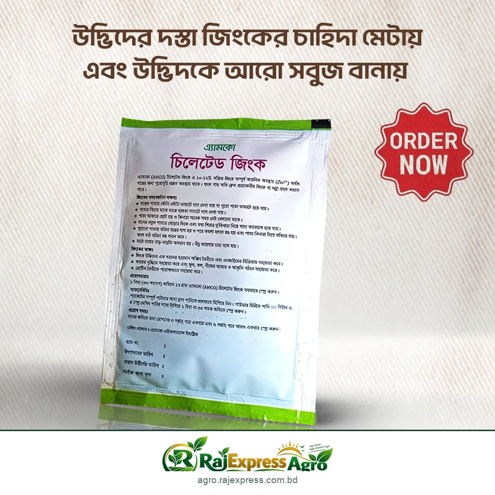 এ্যামকো চিলেটেড জিংক ১৭ গ্রাম প্যাক