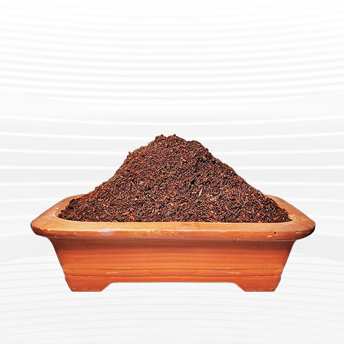 কোকো পিট - ৫০ কেজি
