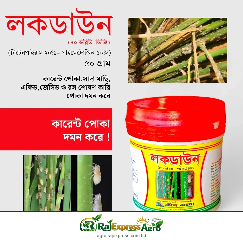 লকডাউন ৭০ ডব্লিউডিজি কীটনাশক (নিটেনপাইরাম + পাইমেট্রোজিন)