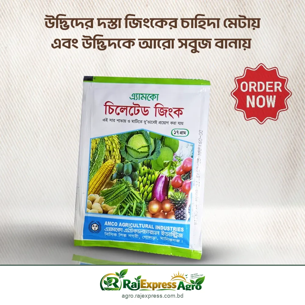 এ্যামকো চিলেটেড জিংক ১৭ গ্রাম প্যাক