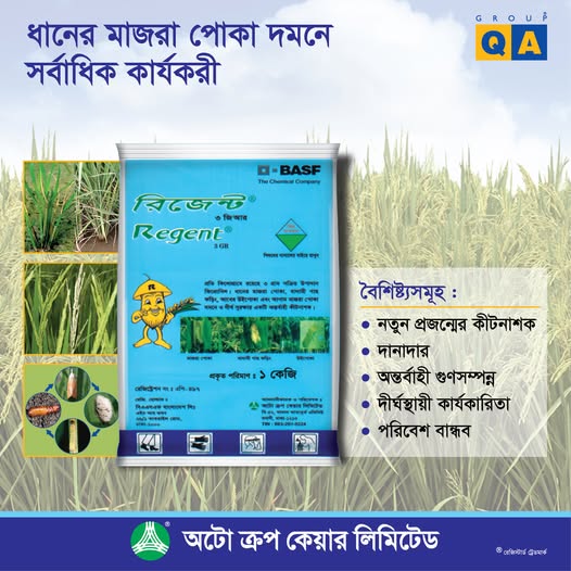 রিজেন্ট ৩ জিআর (প্রবাহমান কীটনাশক) - ১ কেজি