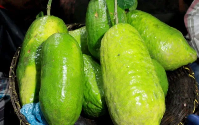 জারা লেবু