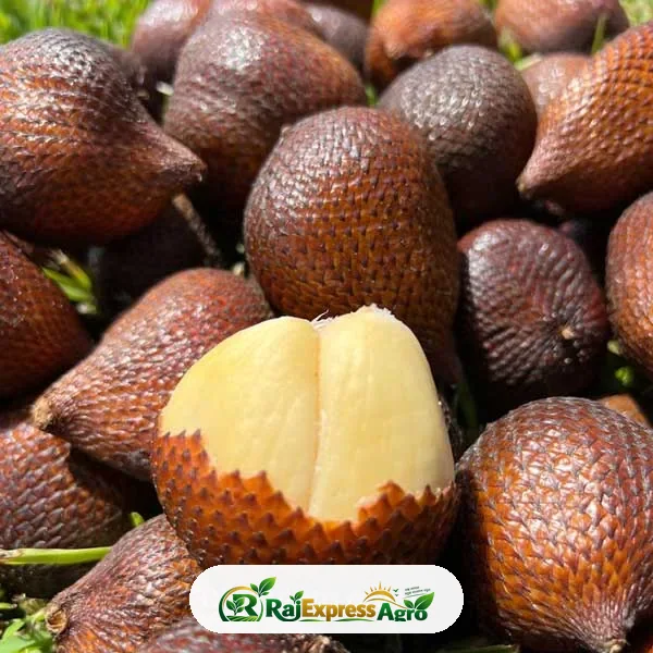 স্নেক ফ্রুট (সালাক)