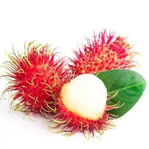 রাম্বুতান