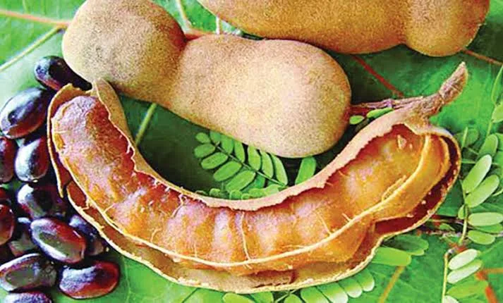 টক দেশি তেতুল