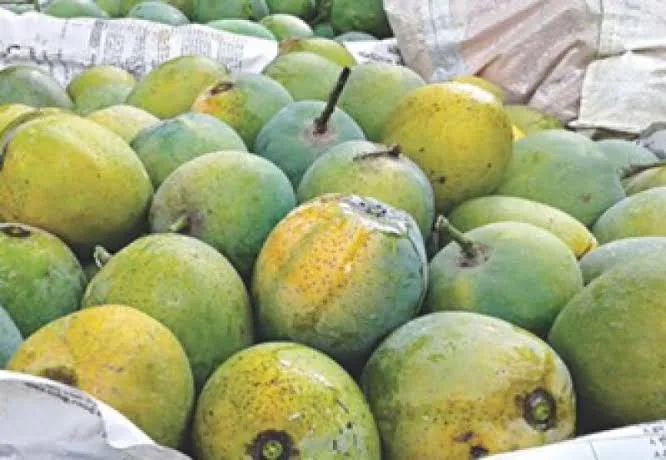 হিমসাগর