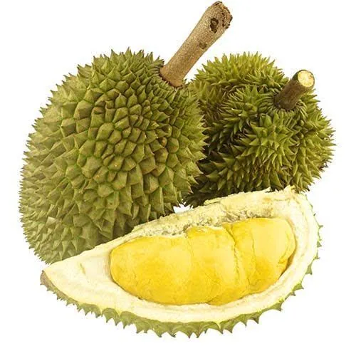 ডুরিয়ান কলম