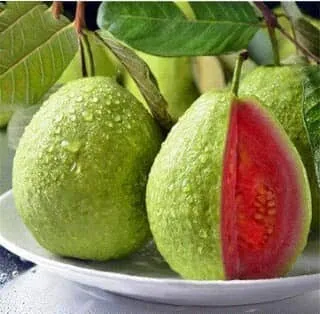 মাধুরি পেয়ারা