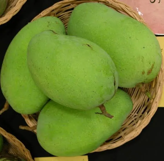 ফজলি