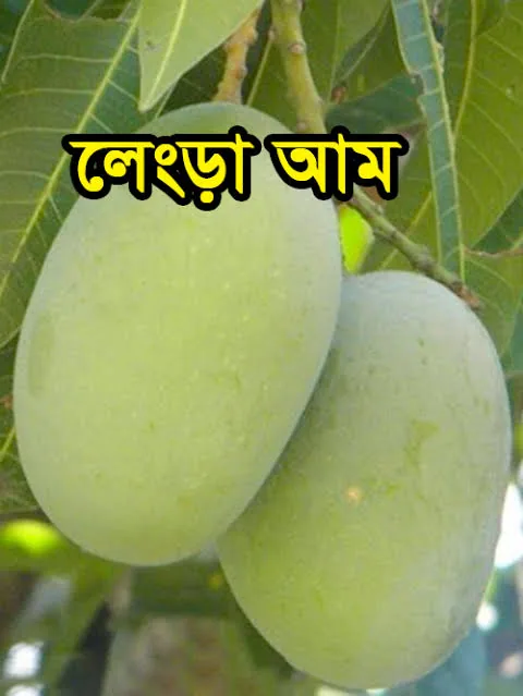 লেংড়া