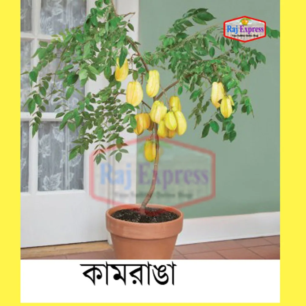 কামরাঙ্গা