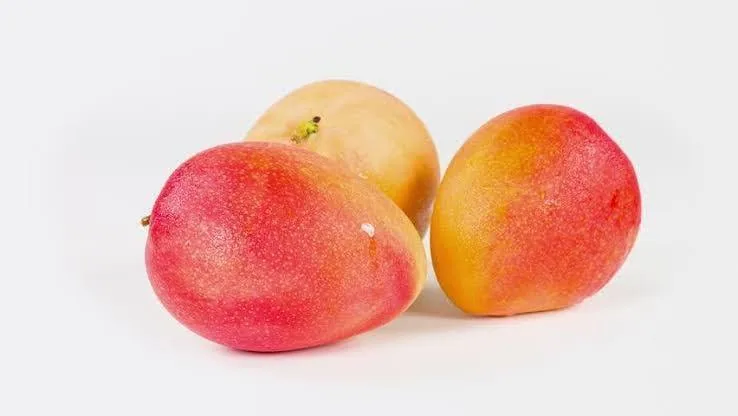 আপেল ম্যংগো