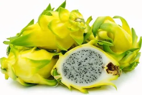 ড্রাগন হলুদ
