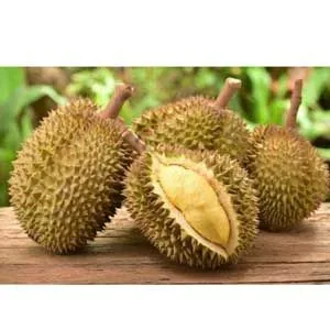 ডুরিয়ান কলম চারা