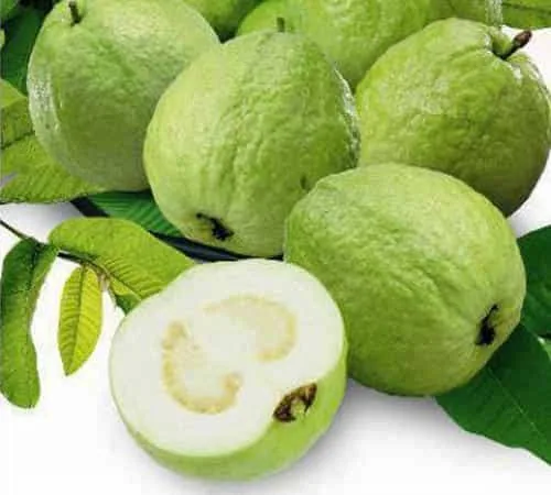 সুপার ১০