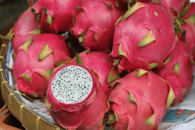 ড্রাগন গোলাপি