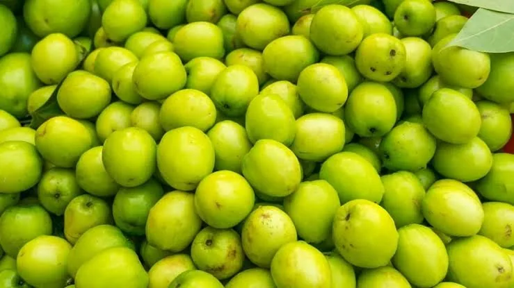 দেশি টক কুল