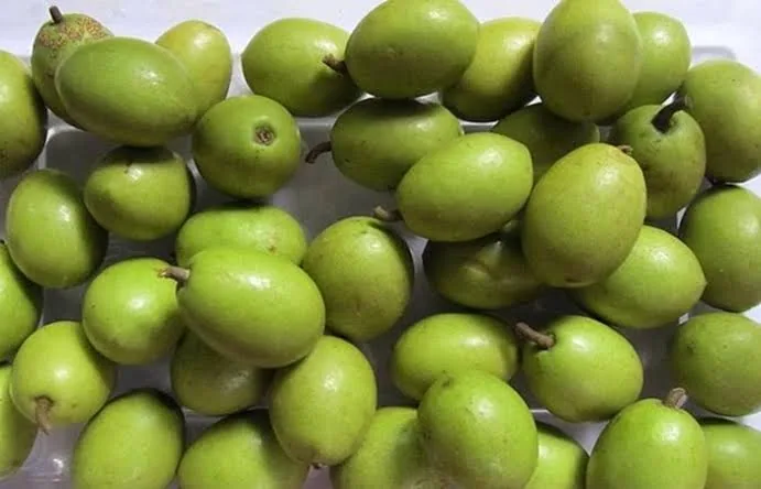 দেশি জলপাই