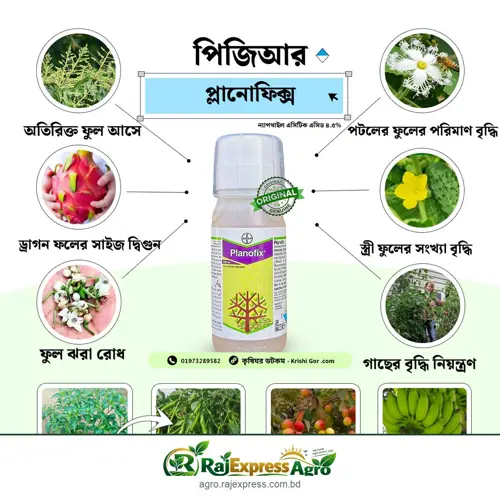 প্লানোফিক্স পিজিআর - ফুল ও ফল ঝরা রোধ এবং ফল মোটা করণে কার্যকর