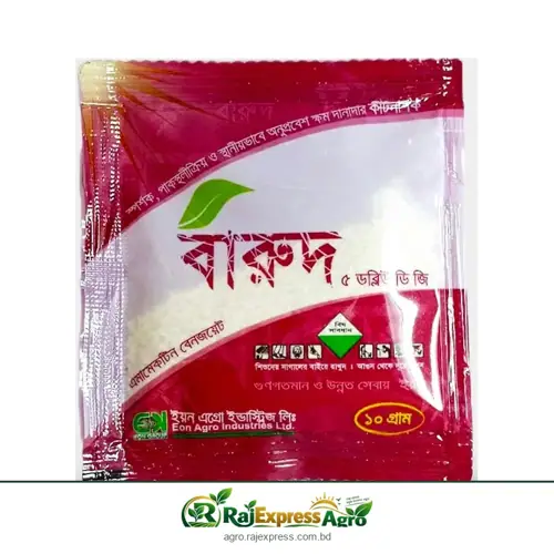 বারুদ ৫ ডব্লিউডিজি