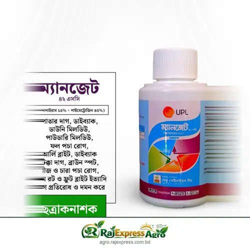ম্যানজেট ৪২ এসসি ছত্রাকনাশক (ম্যানকোজেব)