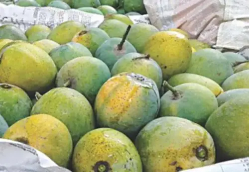 গোপালভোগ