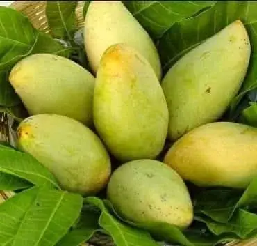 আম্রপালি