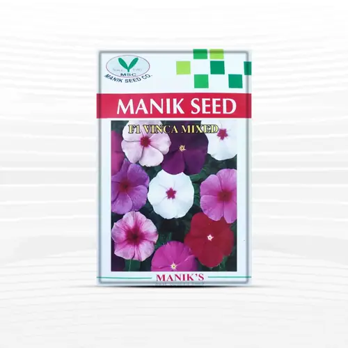 ভিনকা ফুলের বীজ (মিশ্র রঙ)